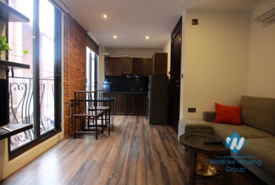 Stylish apartment for rent in Tay Ho good natural light and nice terrace